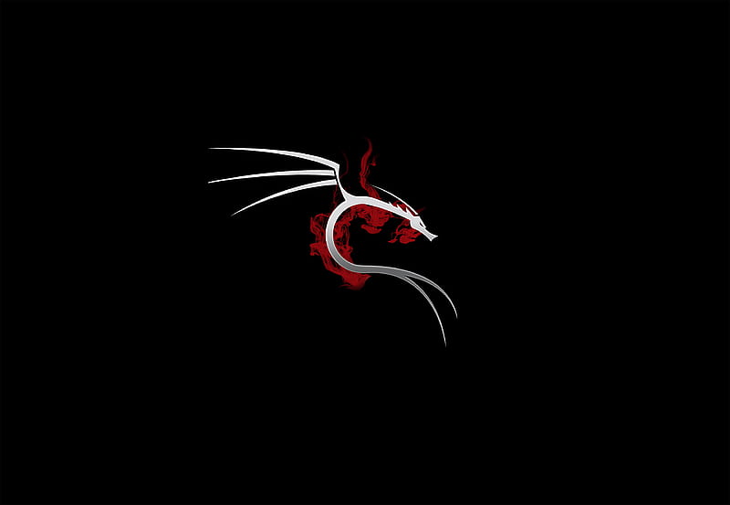 Kali Linux 2021.1 released: Tweaked DEs and terminals, new tools, Kali ARM  for Apple Silicon Macs - Help Net Security
