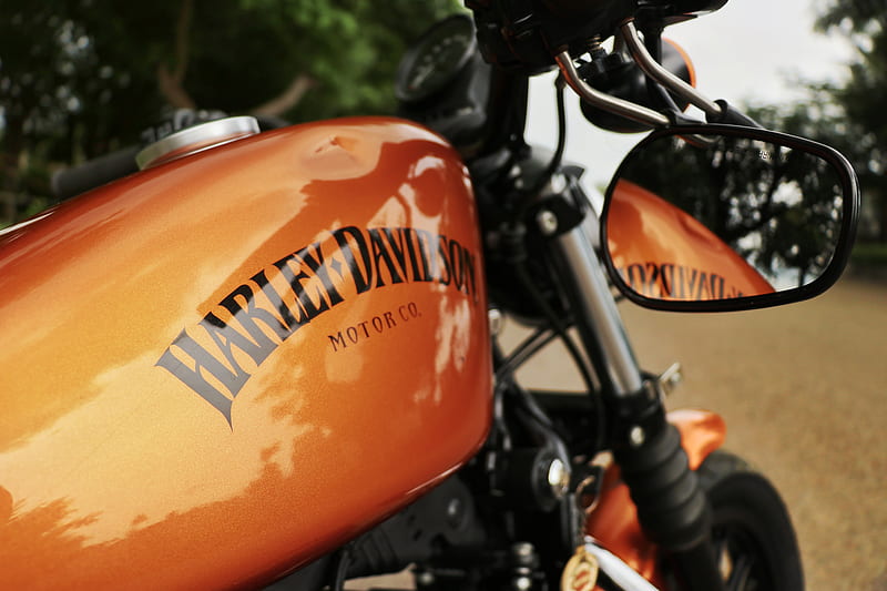 Harley 883, bike, davidson, iron, life, road, trip, HD wallpaper