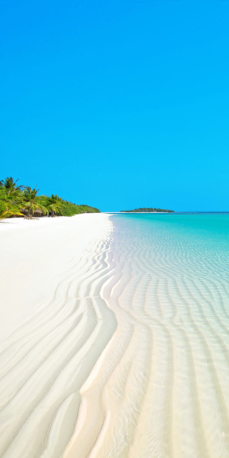 beach, amazing, best, cool, new, palm, paradise, relax, sand, sea, sky, super, HD phone wallpaper