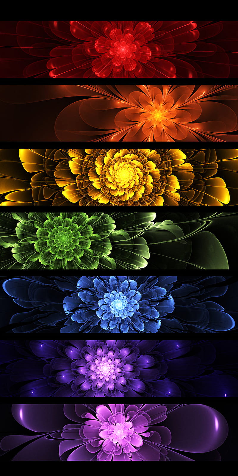 Abstract, colorful, colors, flower, fractal, rainbow, HD phone wallpaper