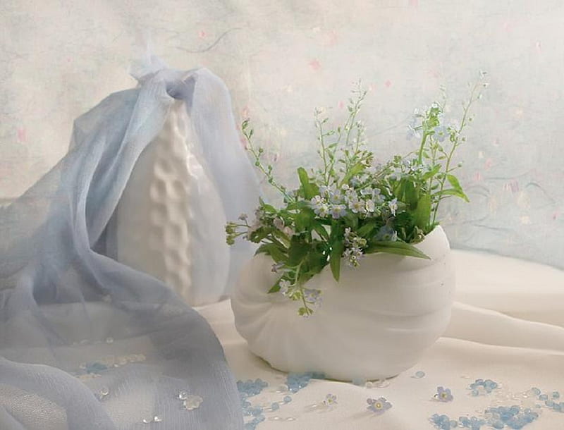 Still Life, shell, green, flowers, vase, chiffon, white, blue, HD wallpaper