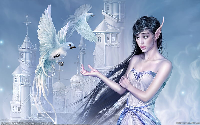 Cloud Wizard, character, fantasy, female, cg, tang yuehui, elf, birds, bonito, HD wallpaper