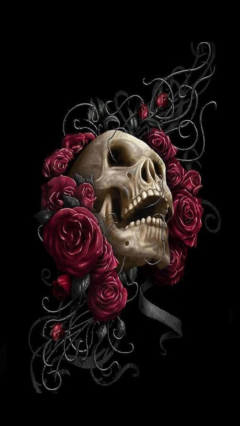 Skull rose, HD phone wallpaper