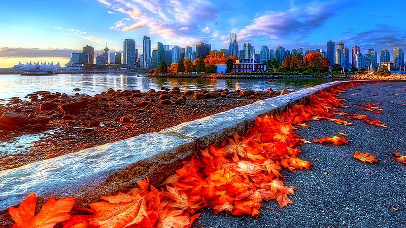 Autumn Leaves, Canada, fall, autumn, leaves, buildings, nature, seasons ...