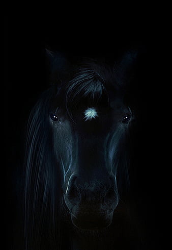 A Stunning Oil Color Painting Print of a Majestic Black Horse Beneath