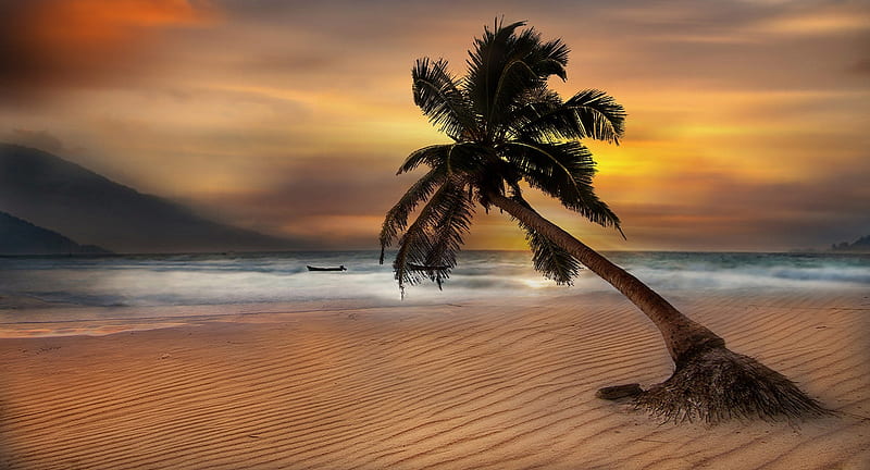 Tulum beach ,Mexico, beach, tree, mexico, sand, tulum, nature, palm, sky, HD wallpaper