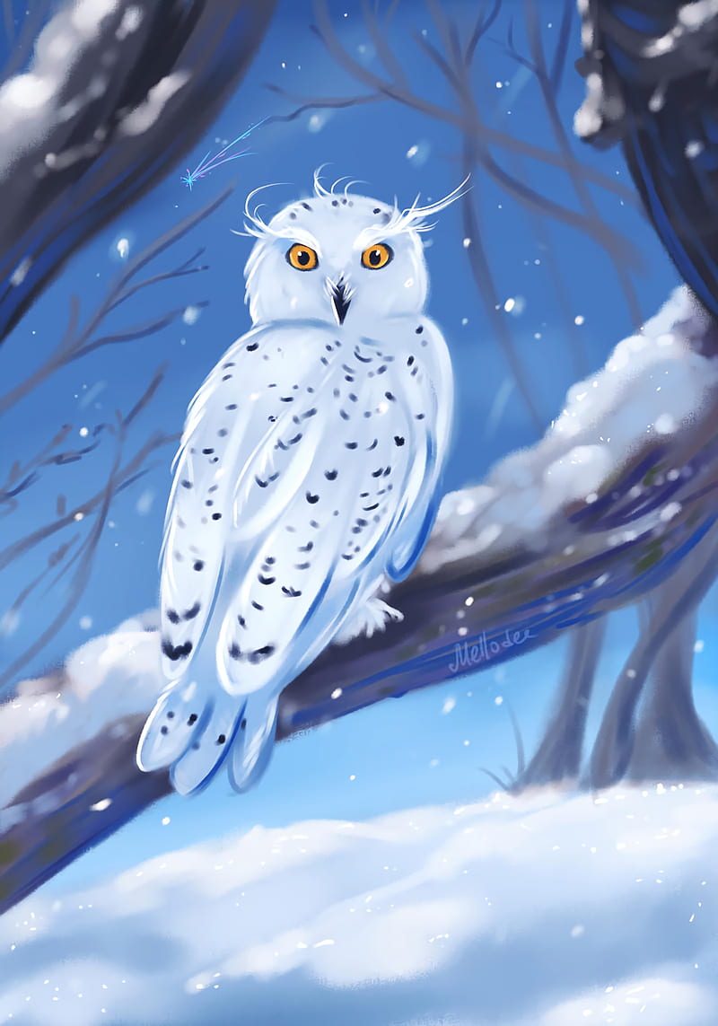 owl, bird, white, winter, art, HD phone wallpaper