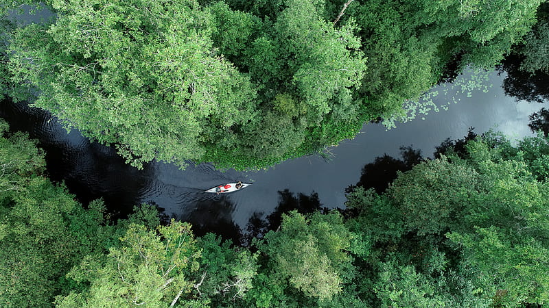boat, kayak, river, aerial view, trees, HD wallpaper