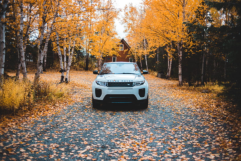 range rover, land rover, suv, autumn, front view, HD wallpaper