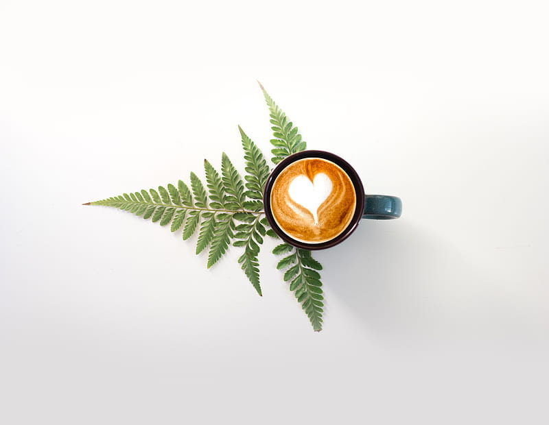 cup, cappuccino, drink, pattern, fern, HD wallpaper