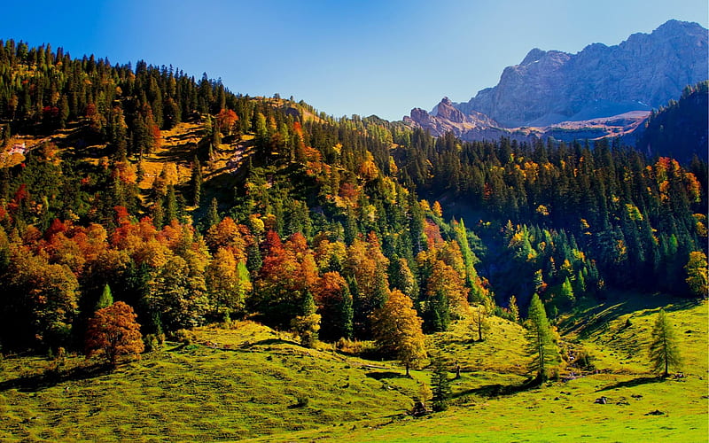 wood green mountains hills relief-Natural landscape, HD wallpaper