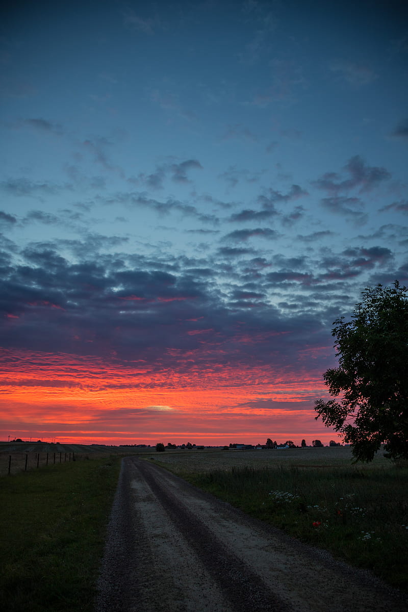 dawn, sunrise, horizon, road, clouds, morning, grass, sky, HD phone wallpaper