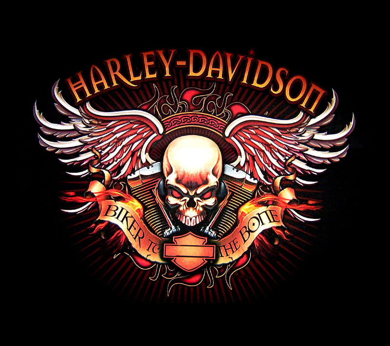 Harley Davidson, skull, HD wallpaper