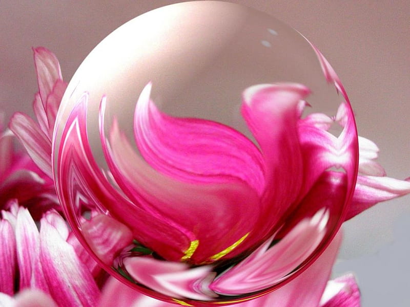 Flower, globe, abstract, pink, HD wallpaper