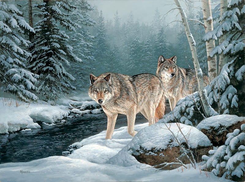 Wolves, art, snow, painting, lup, rosemary millette, wolf, iarna, winter, pictura, HD wallpaper