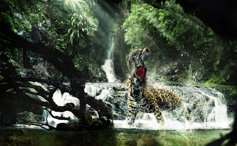Fiero Animals, jungle, ape, fighting, tiger, HD wallpaper