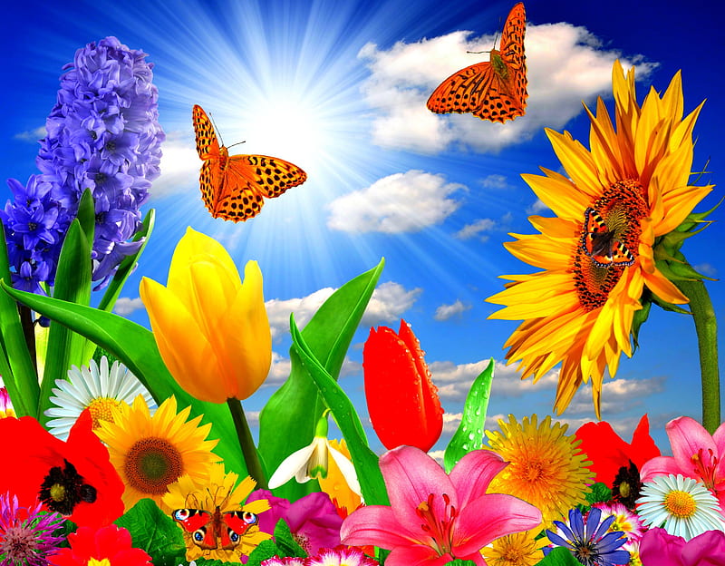SPRING SHINES!, flowers, colors, spring, sunshine, Art, butterflies, clouds, sky, HD wallpaper