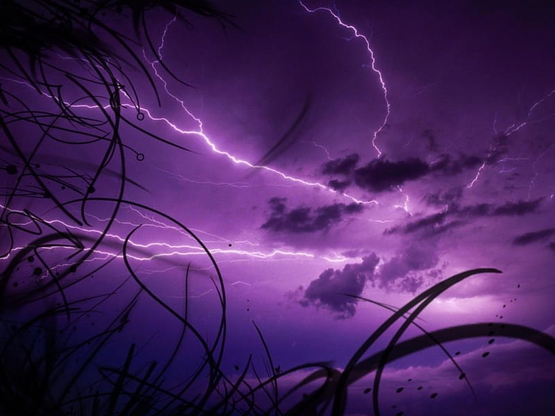 Electric storm, purple, lighting, electric, nature, clouds, forces of nature, sky, storm, HD wallpaper