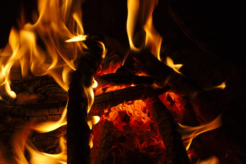 bonfire, fire, flame, wood, coals, dark, HD wallpaper