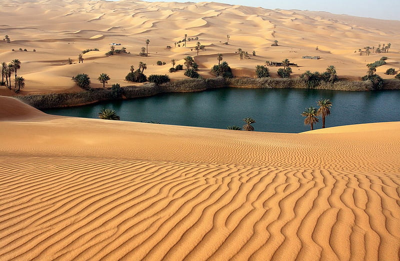 Oasis, amazing, nature, desert, HD wallpaper