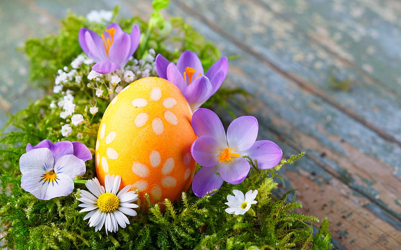 Easter, spring flowers, easter eggs, green grass, Easter background, spring holidays, HD wallpaper