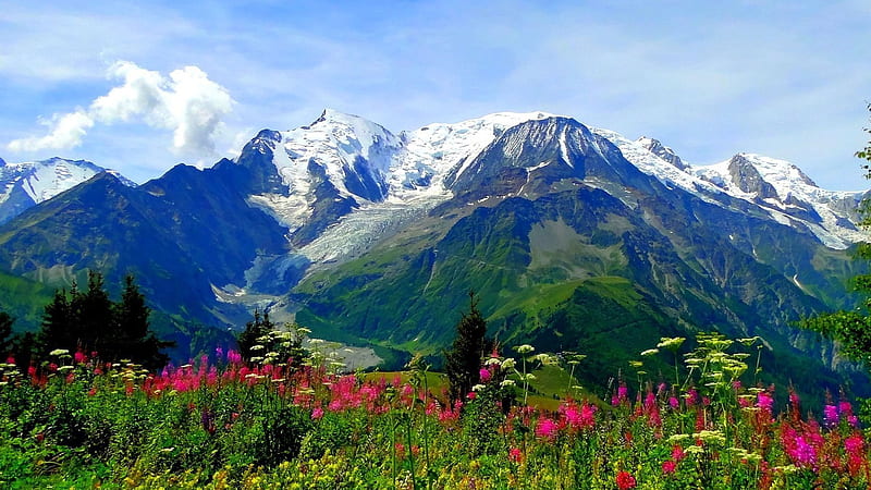 Valley Of Flowers National Park Trek, blossoms, sky, asia, mountains, landscape, HD wallpaper