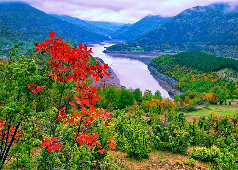 Arda river-Bulgaria, stream, red, colorful, riverbank, shore, grass, bonito, clouds, valley, mountain, nice, green, flowers, river, lovely, view, floating, sky, waters, summer, nature, bulgaria, HD wallpaper