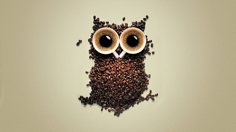 Java Owl, cute, graphy, coffee, abstract, HD wallpaper | Peakpx