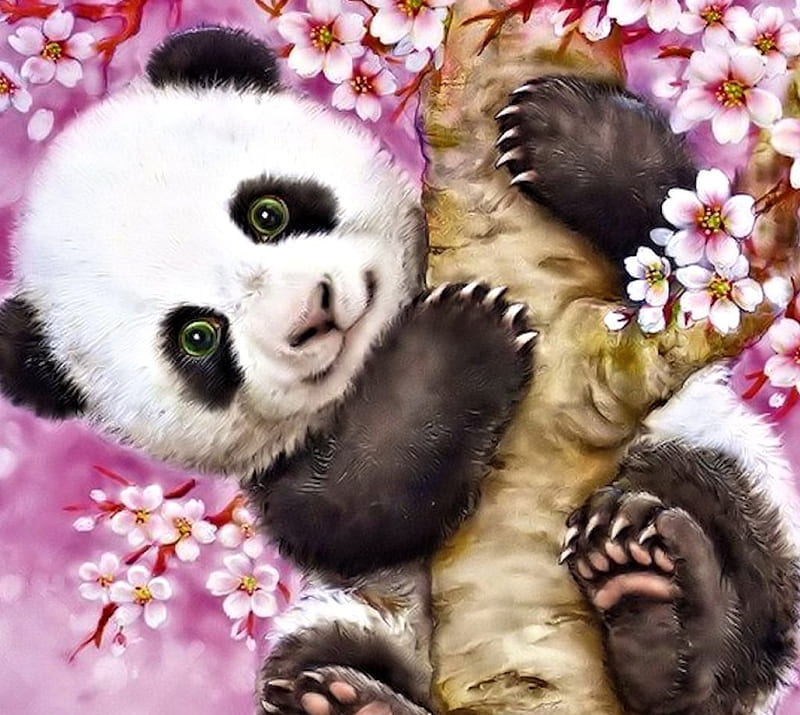 Cute Panda, Panda, cute, Art, Baer, HD wallpaper | Peakpx