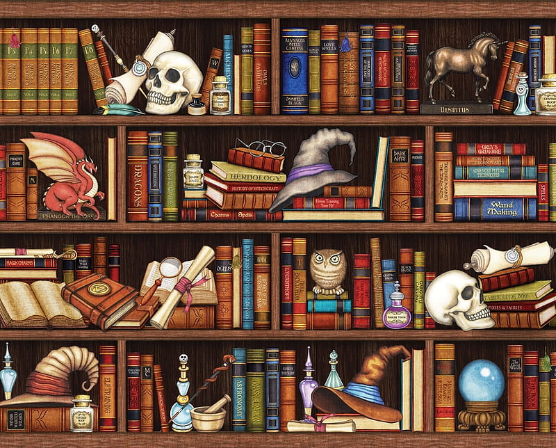 :), art, halloween, shelves, book, dragon, skull, crystal ball, HD wallpaper