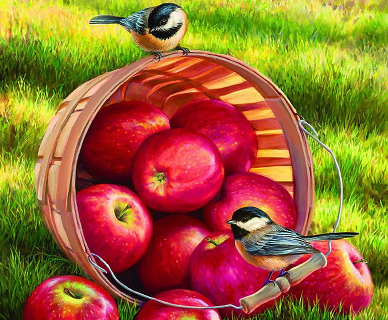 A Peck and A Pair F1Cmp, art, apples, bonito, illustration, artwork, animal, chickadees, bird, basket, avian, painting, wildlife, HD wallpaper