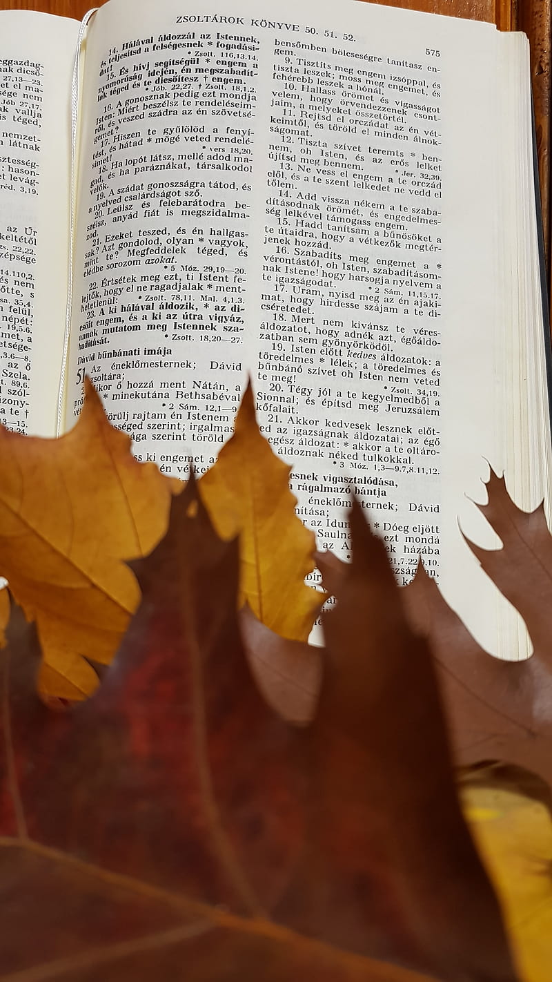 Bible verses, new, autumn, thanks, giving, brown, scene, scenery, leaf, HD phone wallpaper