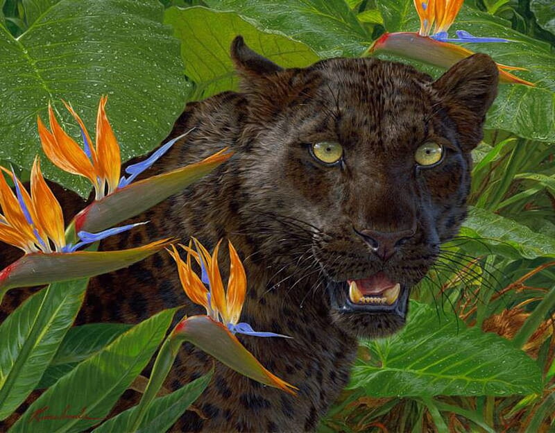 Black Panther, predator, painting, flower, cat, artwork, strelitzia, HD wallpaper
