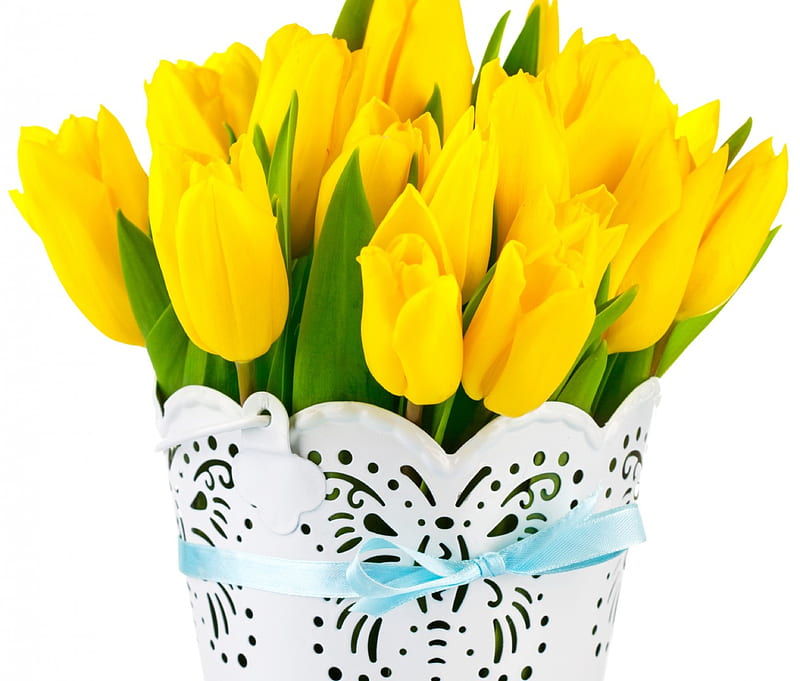 Tulipanes, con amor, cinta, florero, lazo, tulipanes amarillos, flores,  naturaleza, Fondo de pantalla HD | Peakpx