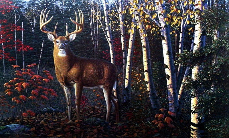 Autumn Sentinel, forest, painting, birches, artwork, deer, HD wallpaper