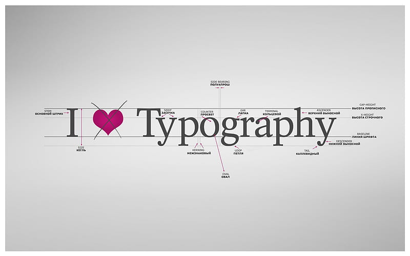 I don't love typography, language, typography, abstract, nice, font, cool, english, love, heart, gris, russian, HD wallpaper