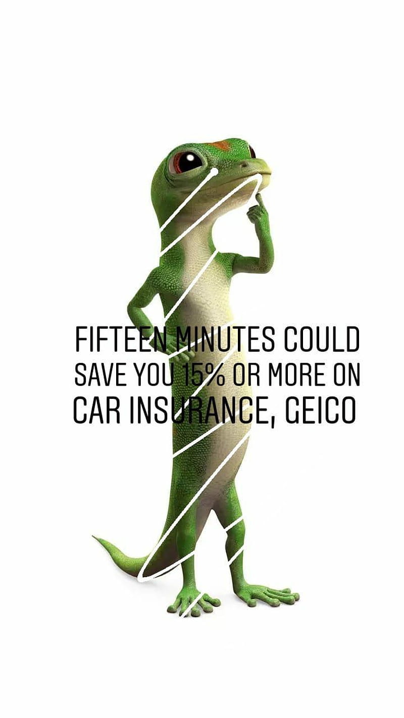 Geico, 15, car, carros, dragon, dragons, geico, insurance, lizard ...