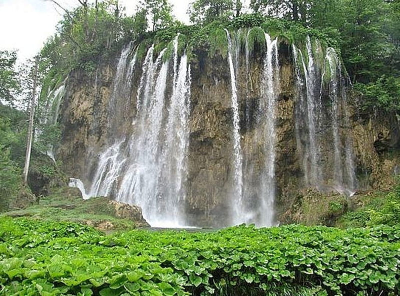 My trip to Croatia, water, croatia, plitvice, place, waterfall, spring, landscape, HD wallpaper