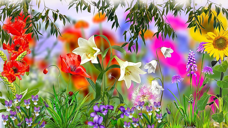 Floral design, Graphics, Vector, Flowers, Colorful, HD wallpaper