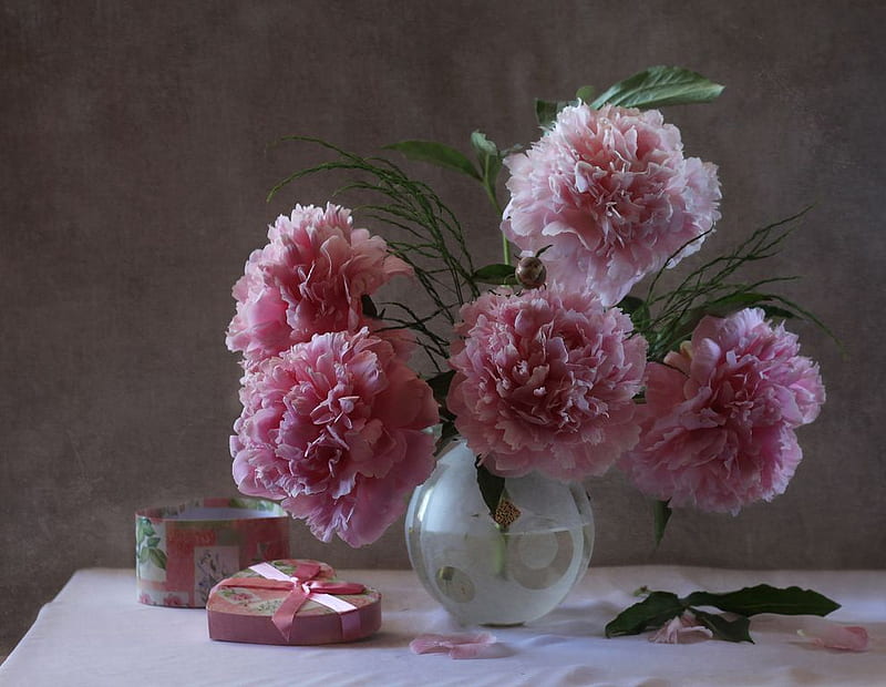 Still life, rose, vase, box, bonito, peony, graphy, nice, gentle ...