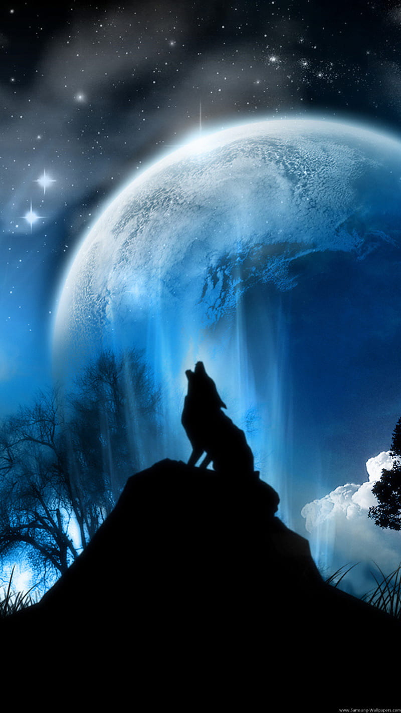 Wolf, moon, HD phone wallpaper