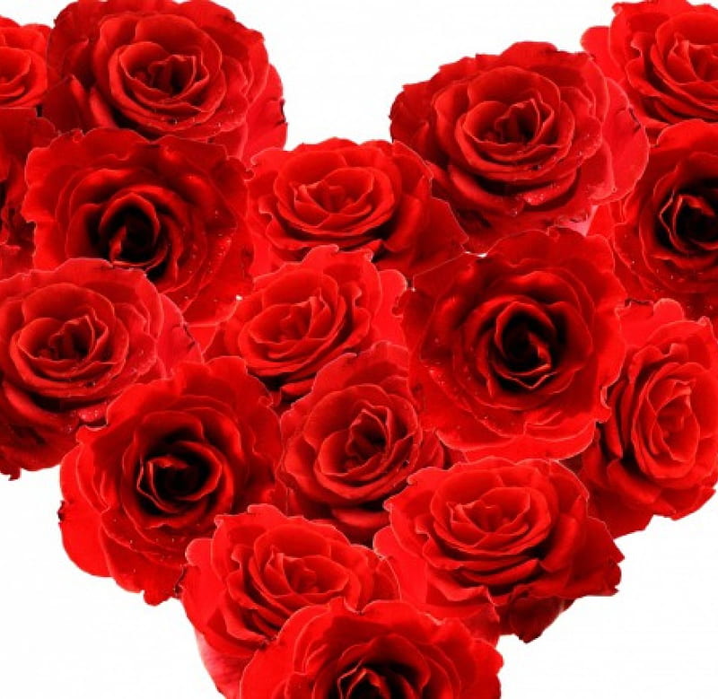 Heart Of Roses, red, flowers, roses, corazones, HD wallpaper | Peakpx