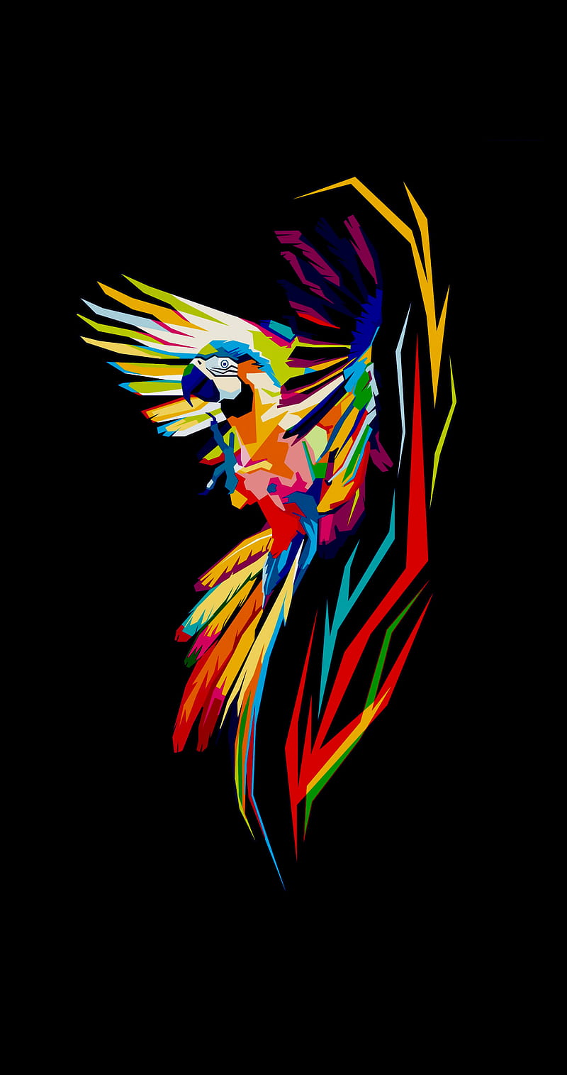 Parrot Abstract Dom Hd Phone Wallpaper Peakpx