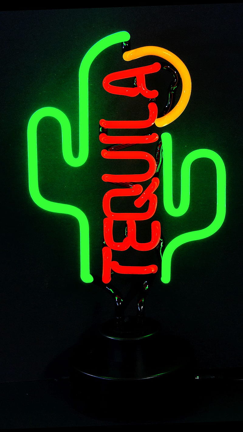 Tequila, cactus, neon, sign, HD phone wallpaper | Peakpx