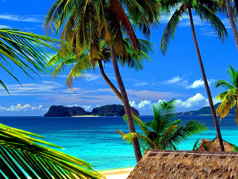 Tropical paradise, exotic, sky, clouds, palms, palm trees, sea, beach ...