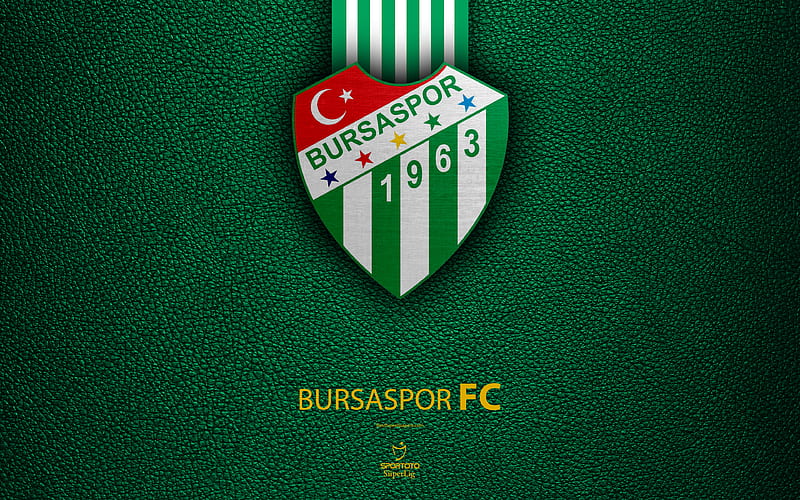Bursaspor FC Turkish football club, leather texture, emblem, Bursaspor logo, Super Lig, Bursa, Turkey, football, Turkish Football Championship, HD wallpaper