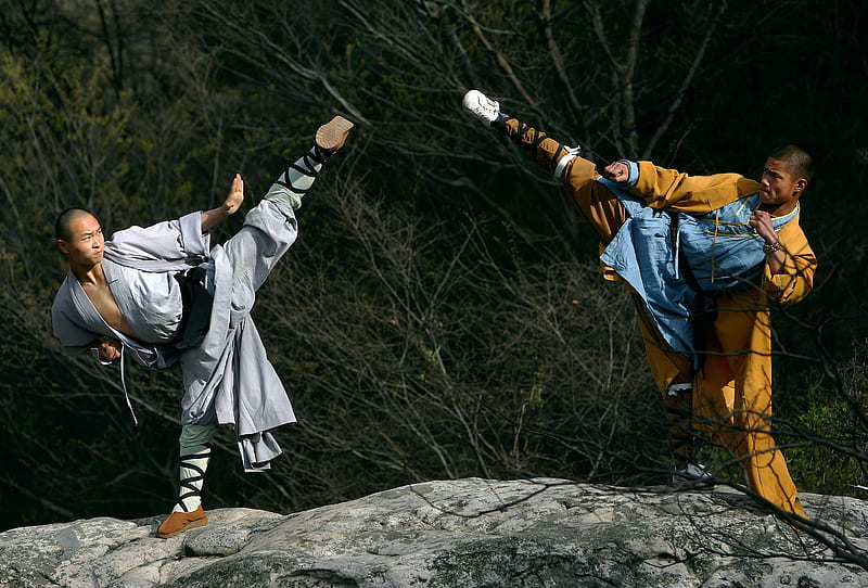 shaolin monks fighting