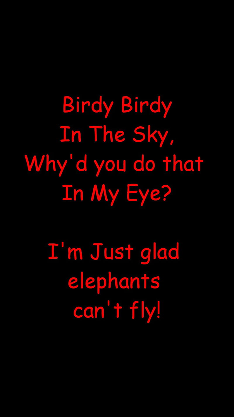 Birdy Birdy, comedy, juvenile humor, HD phone wallpaper