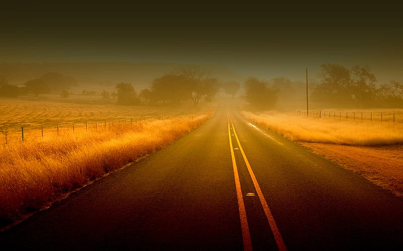 WHERE THIS ROAD LEADS?, fence, straight, road, trees, field, fog, HD wallpaper