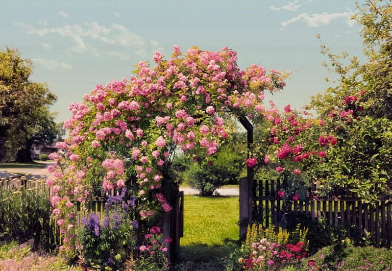 A beautiful garden entrance, grass, flowers, garden, roses, trees, wooden fence, entrance, HD wallpaper